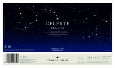 Torres - Celeste Ribera Del Duero Crianza 2021
