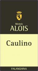 Michele Alois - Falanghina Caulino 2021