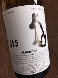 Casal Figueira - Antonio Vital 2020