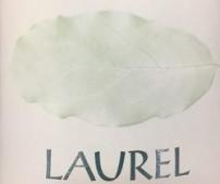 Clos Erasmus - Laurel Priorat 2020