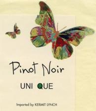 Domaine du Salvard - Pinot Noir Unique 2021